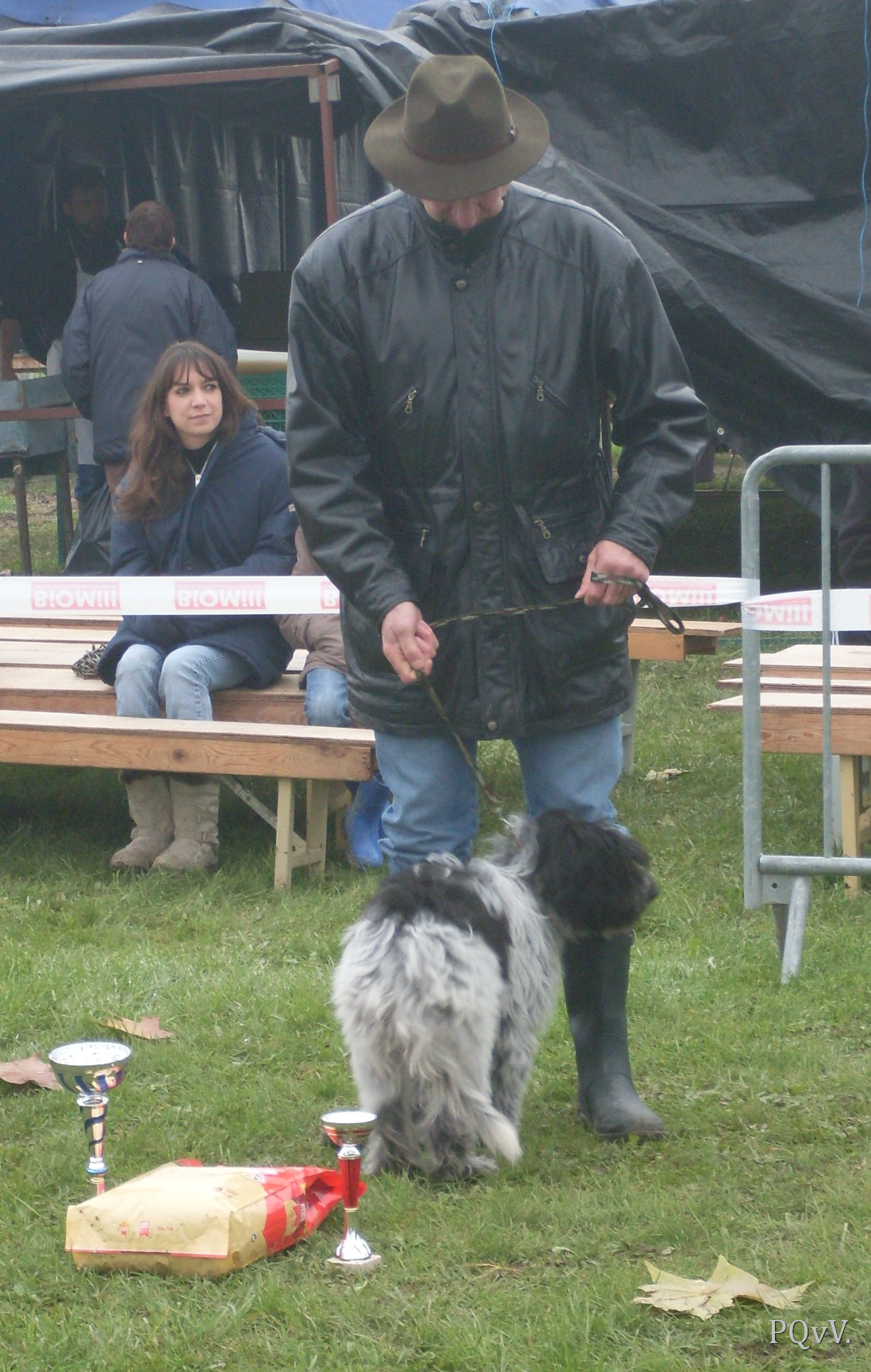  meilleur male, Hellinger de Forlhand